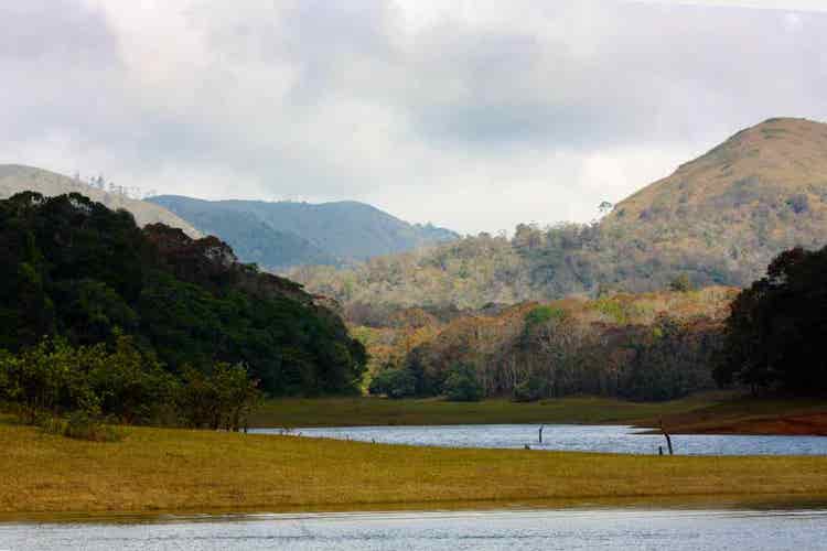 Thekkady,