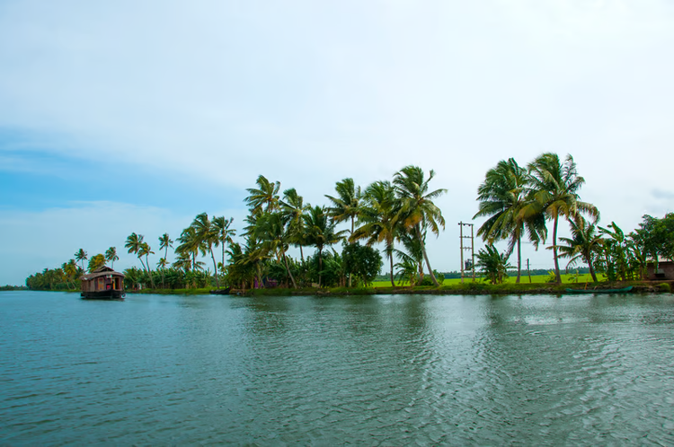 Alleppey backwaters